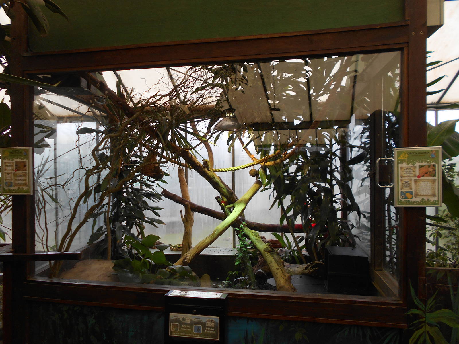 Pygmy Marmoset enclosure - March 15th 2016