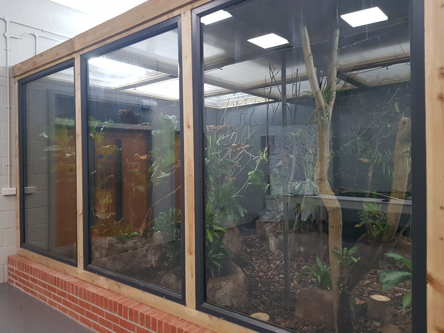 Pygmy Marmoset Enclosure, under construction