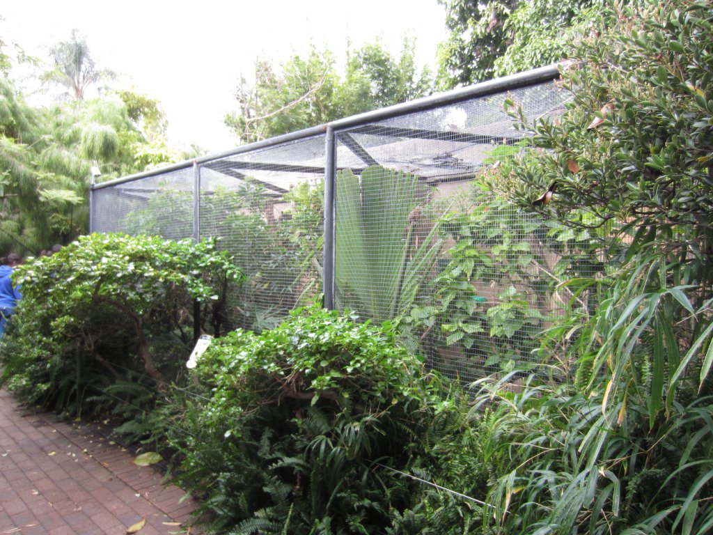 Pygmy Marmoset enclosure