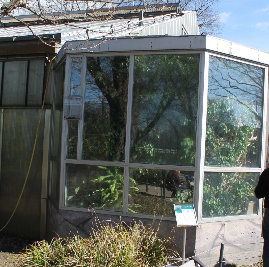 Pygmy marmoset enclosure