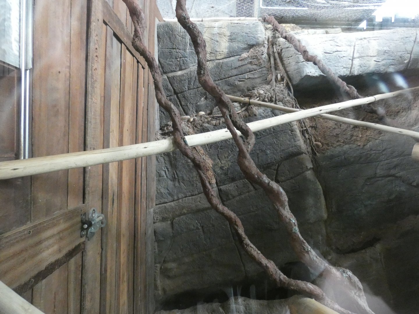 Pygmy Marmoset enclosure