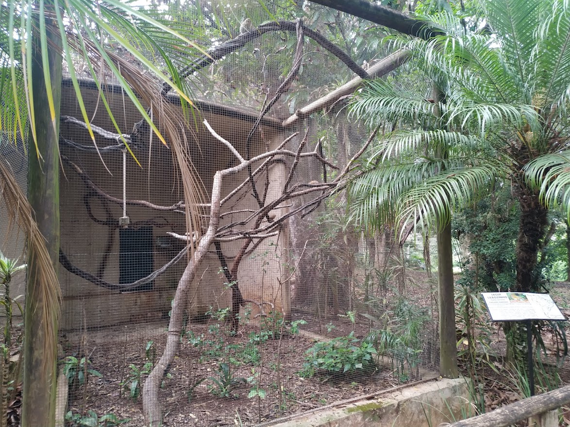 Pygmy Marmoset Enclosure
