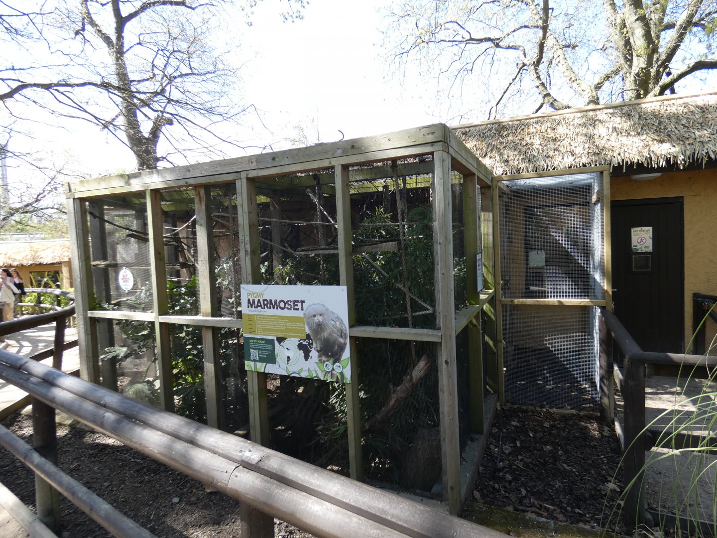 Pygmy marmoset enclosure