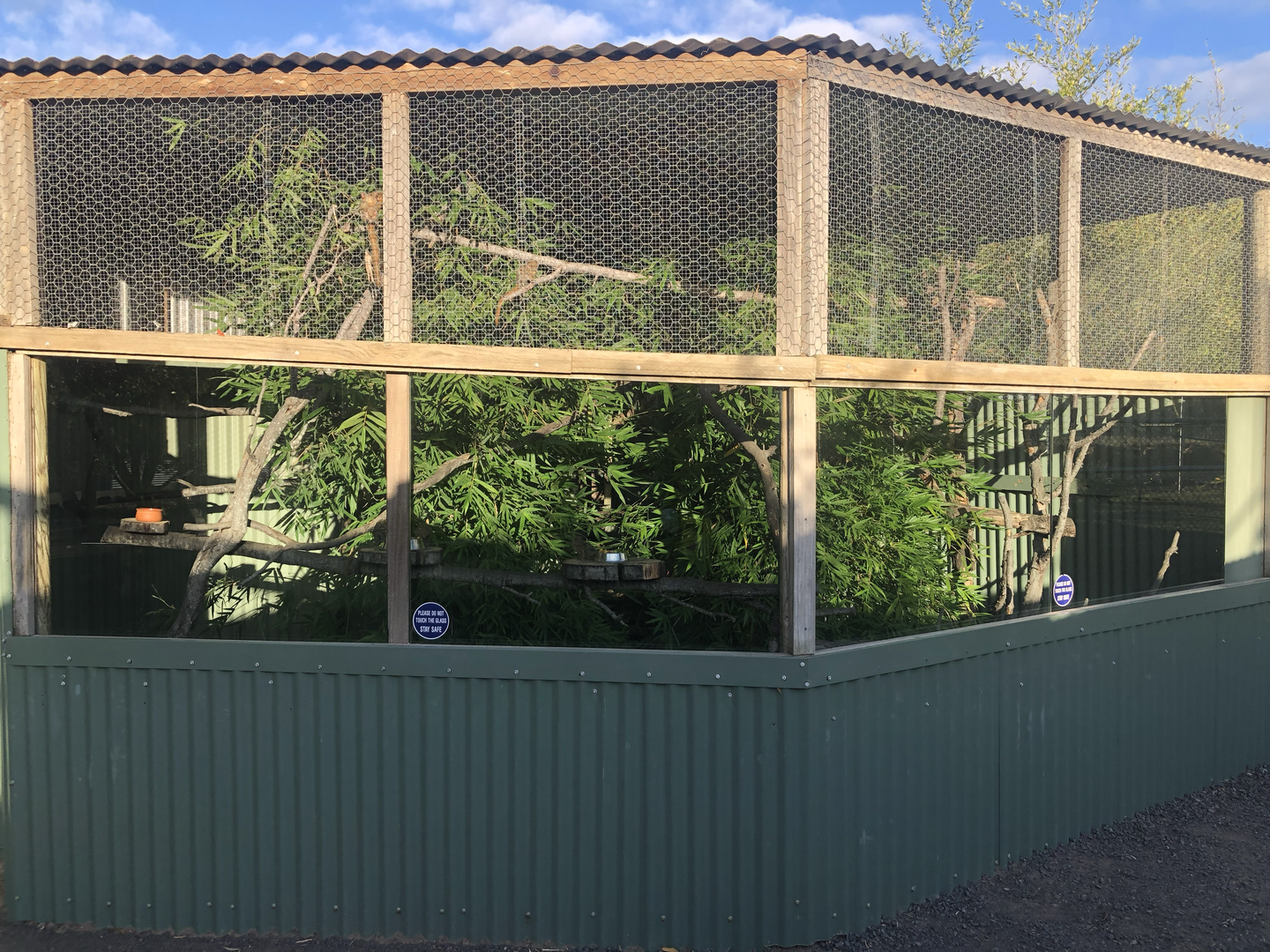 Pygmy Marmoset enclosure