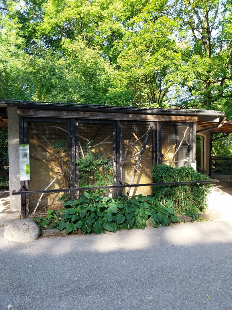 Pygmy marmoset enclosure