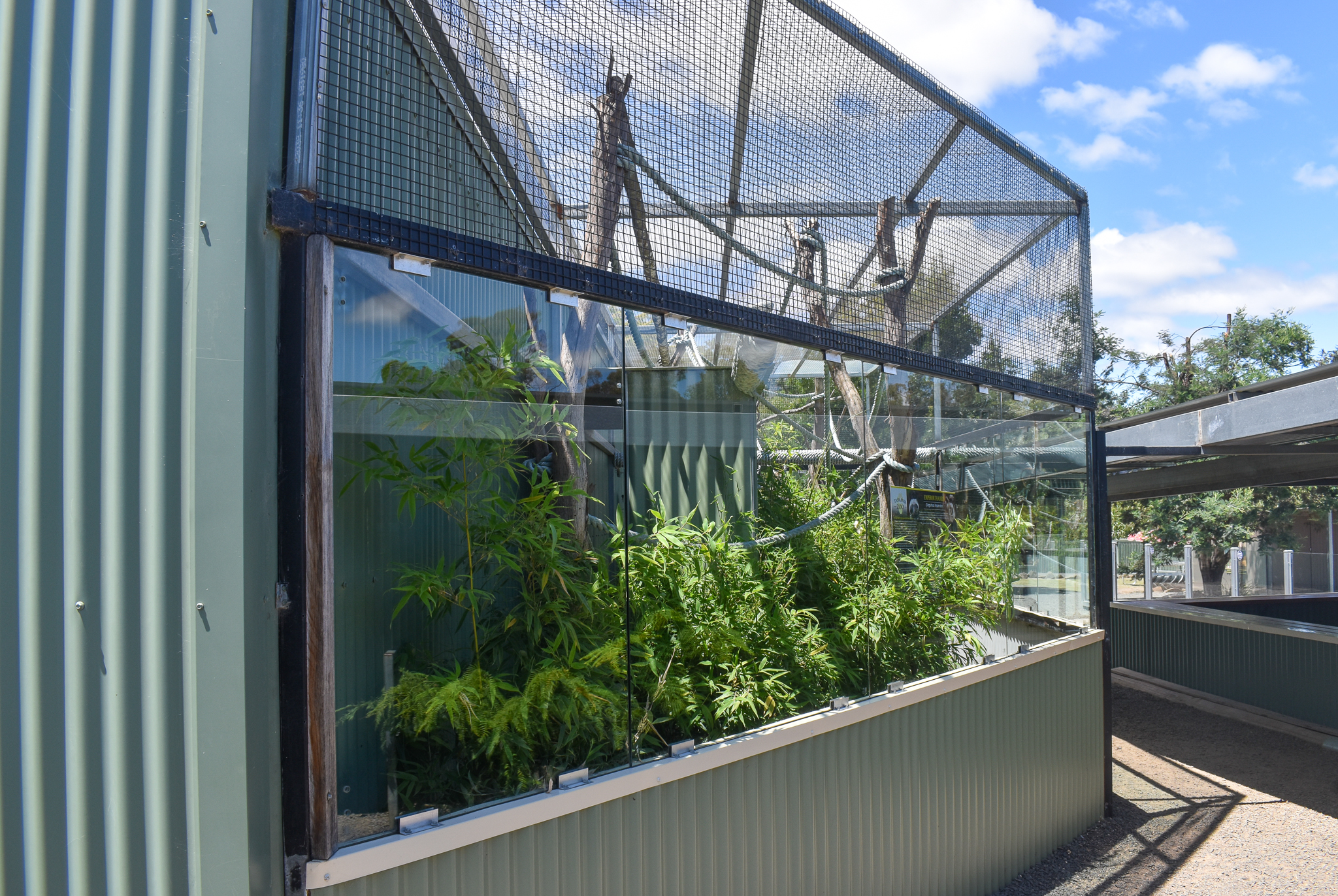 Pygmy Marmoset enclosure
