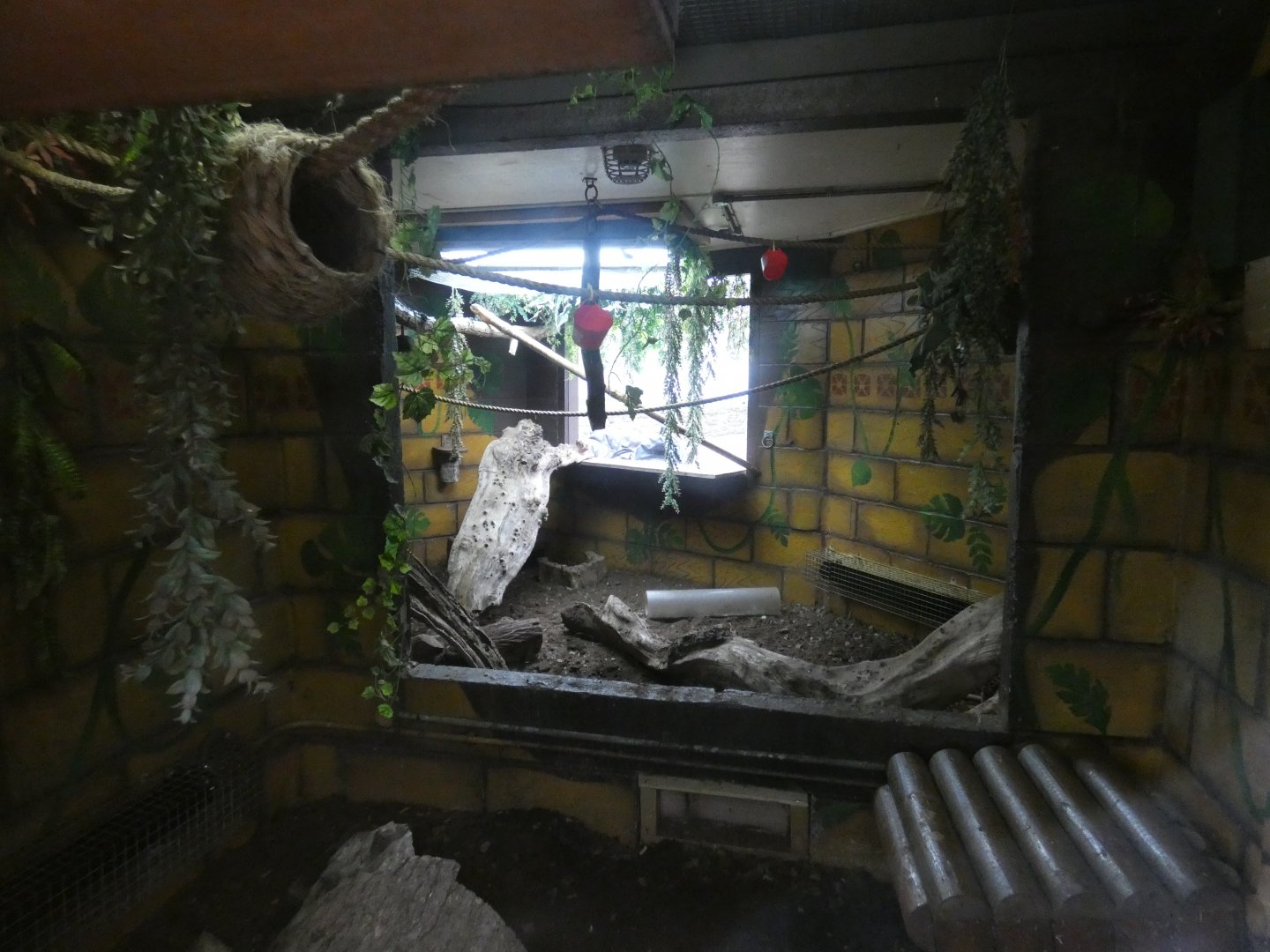 Pygmy marmoset enclosure