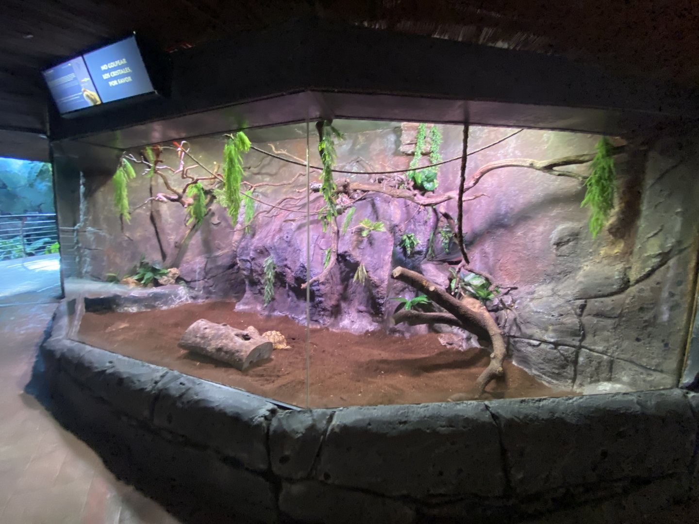 Pygmy marmoset enclosure