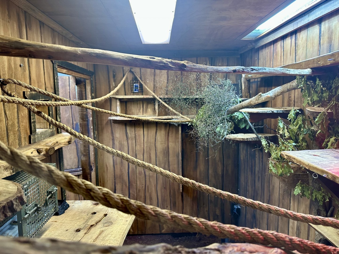 Pygmy Marmoset Exhibit (Cafe)