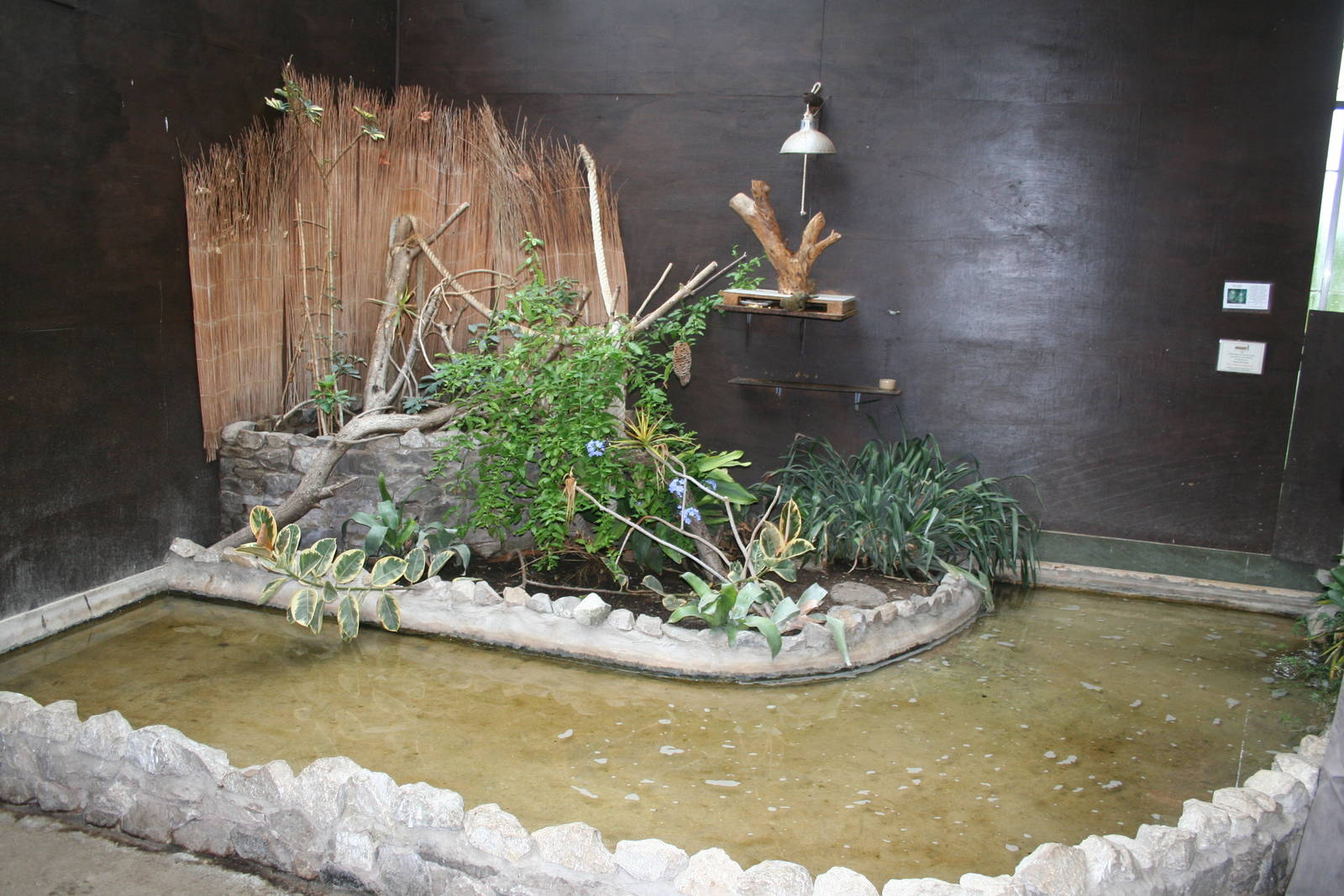 Pygmy marmoset exhibit - Lakeland oasis 08