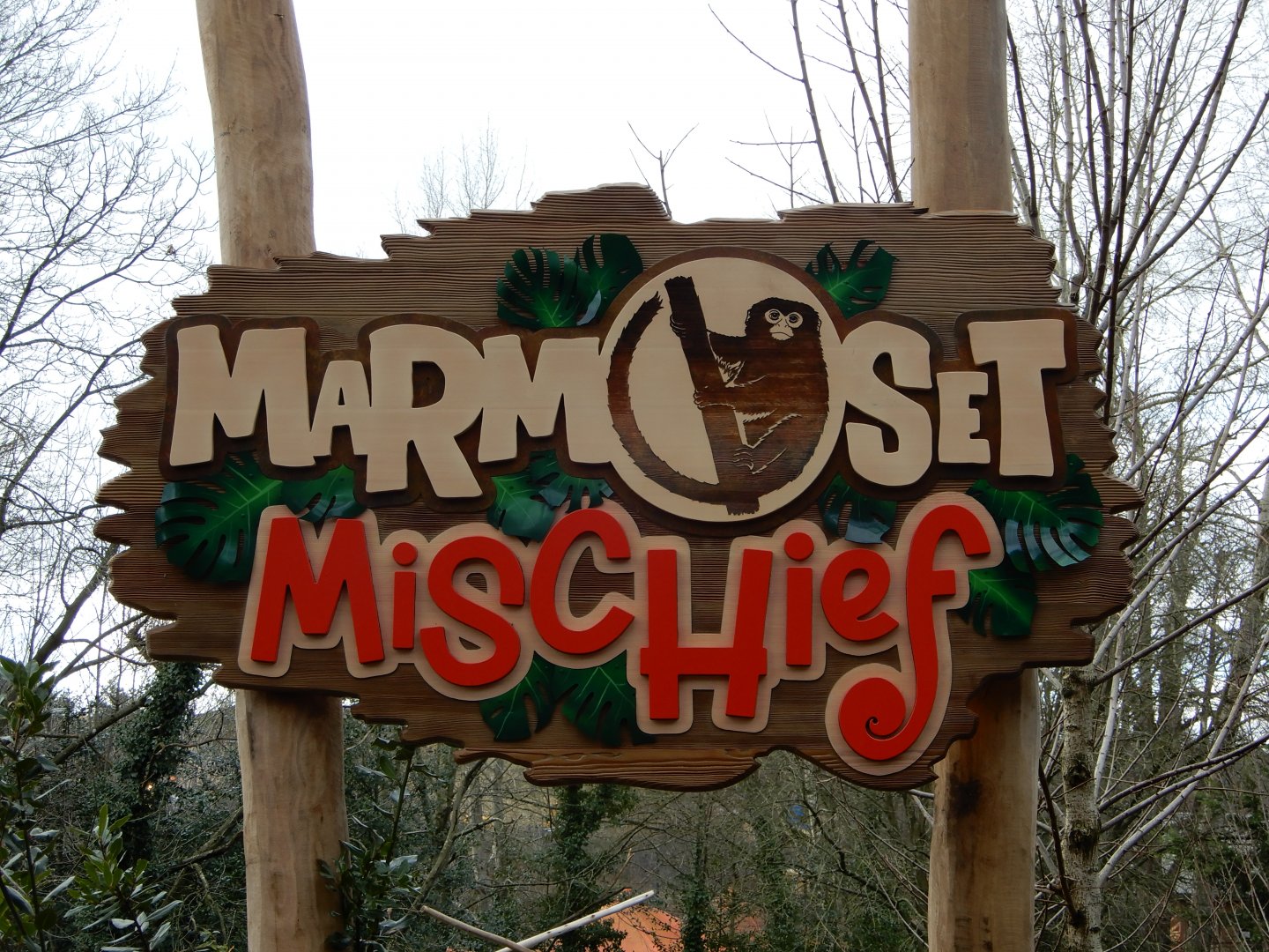 Pygmy Marmoset exhibit Signage