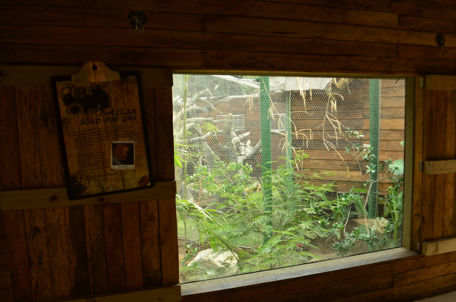 Pygmy marmoset exhibit with sign