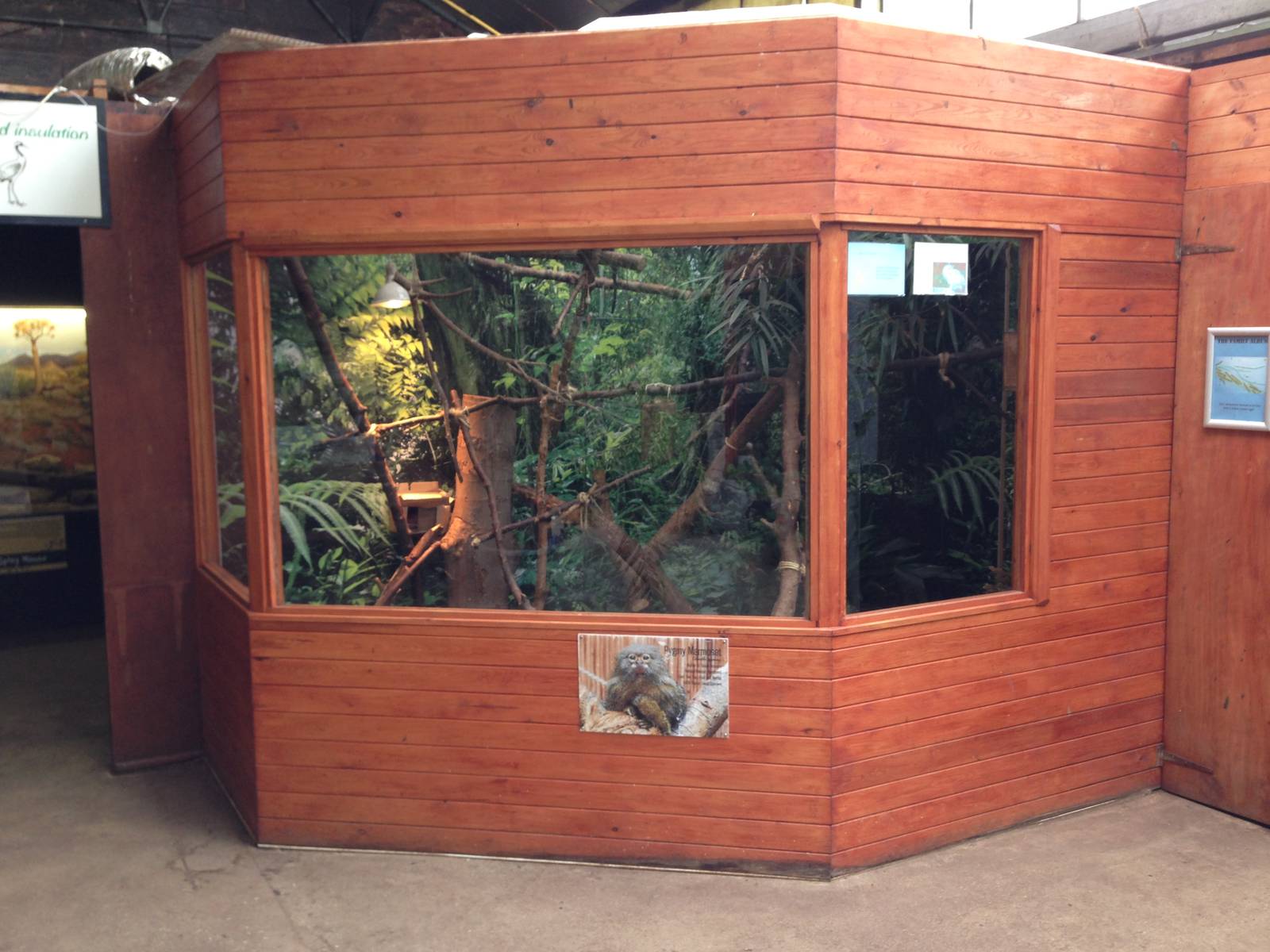 Pygmy marmoset exhibit