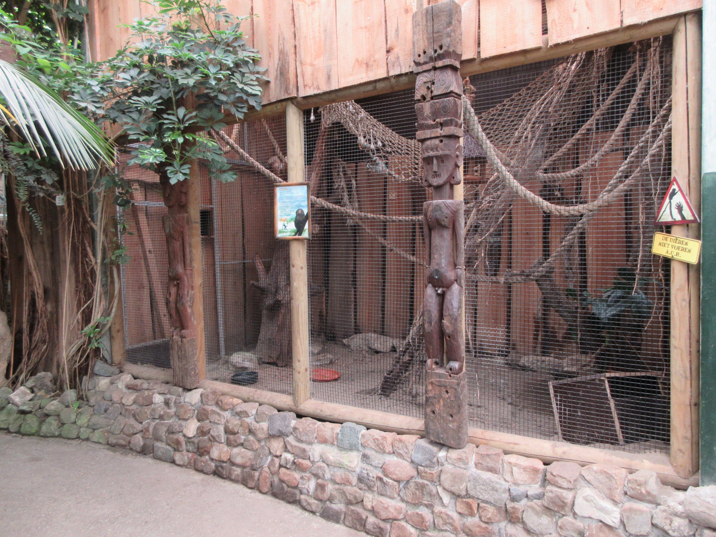 Pygmy Marmoset Exhibit