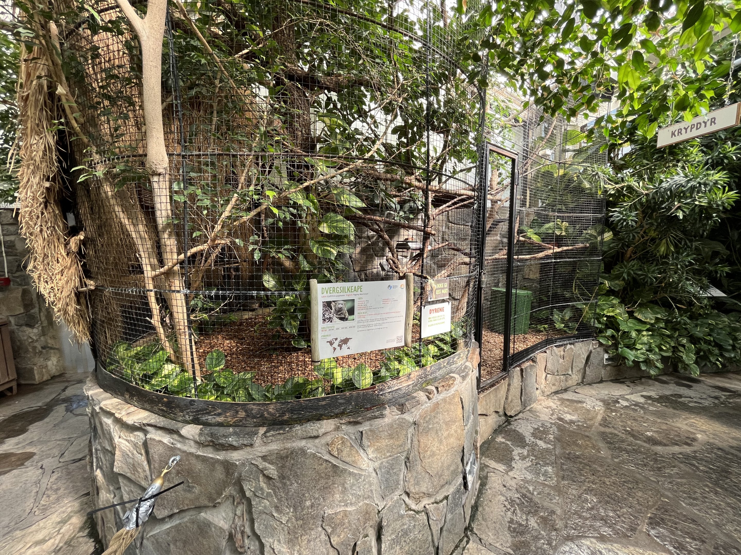 Pygmy Marmoset Exhibit