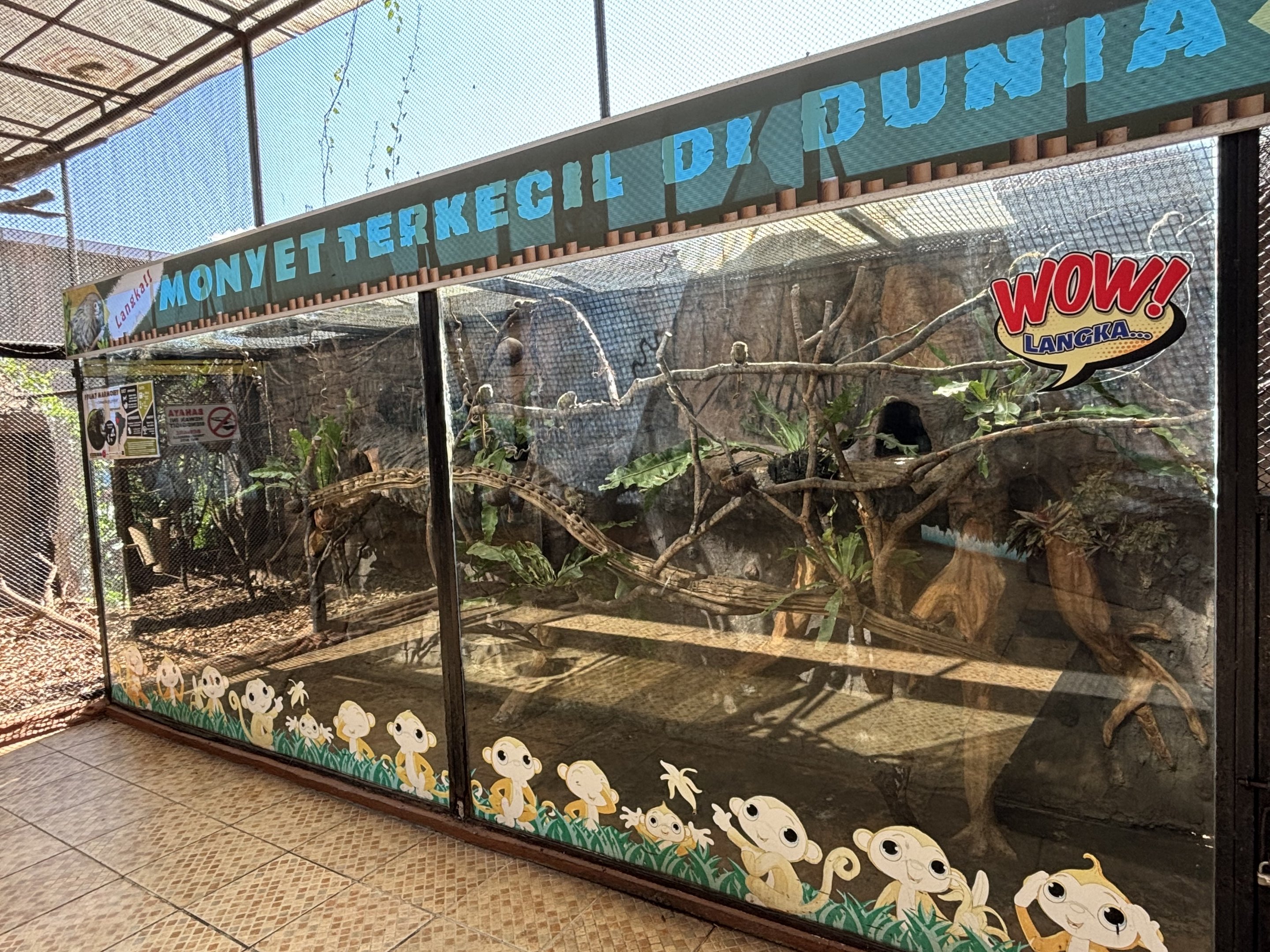 Pygmy Marmoset Exhibit