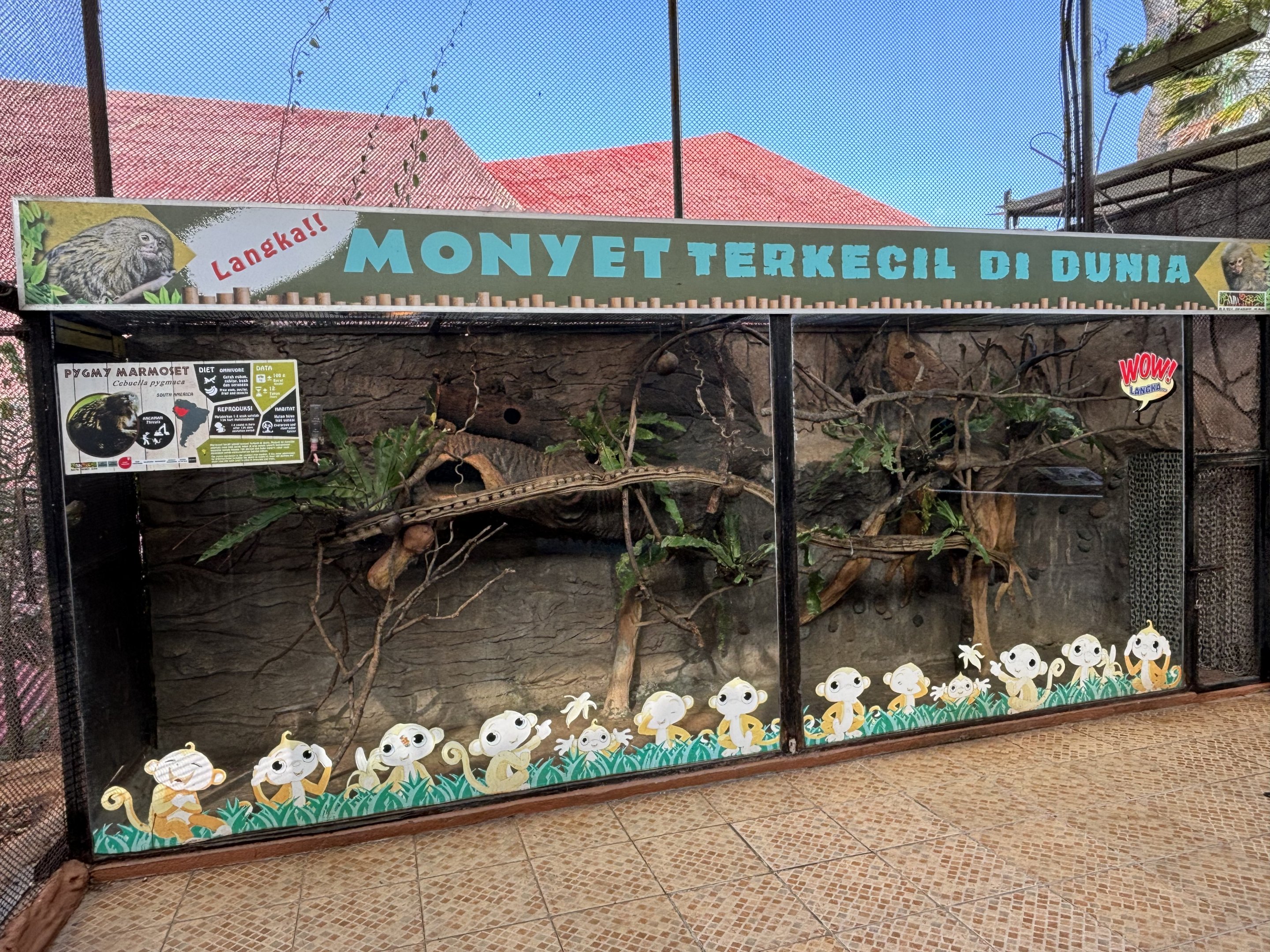 Pygmy Marmoset Exhibit