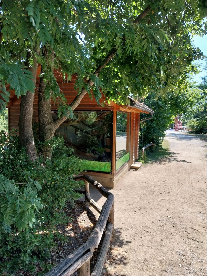 Pygmy marmoset & frilled lizard enclosure