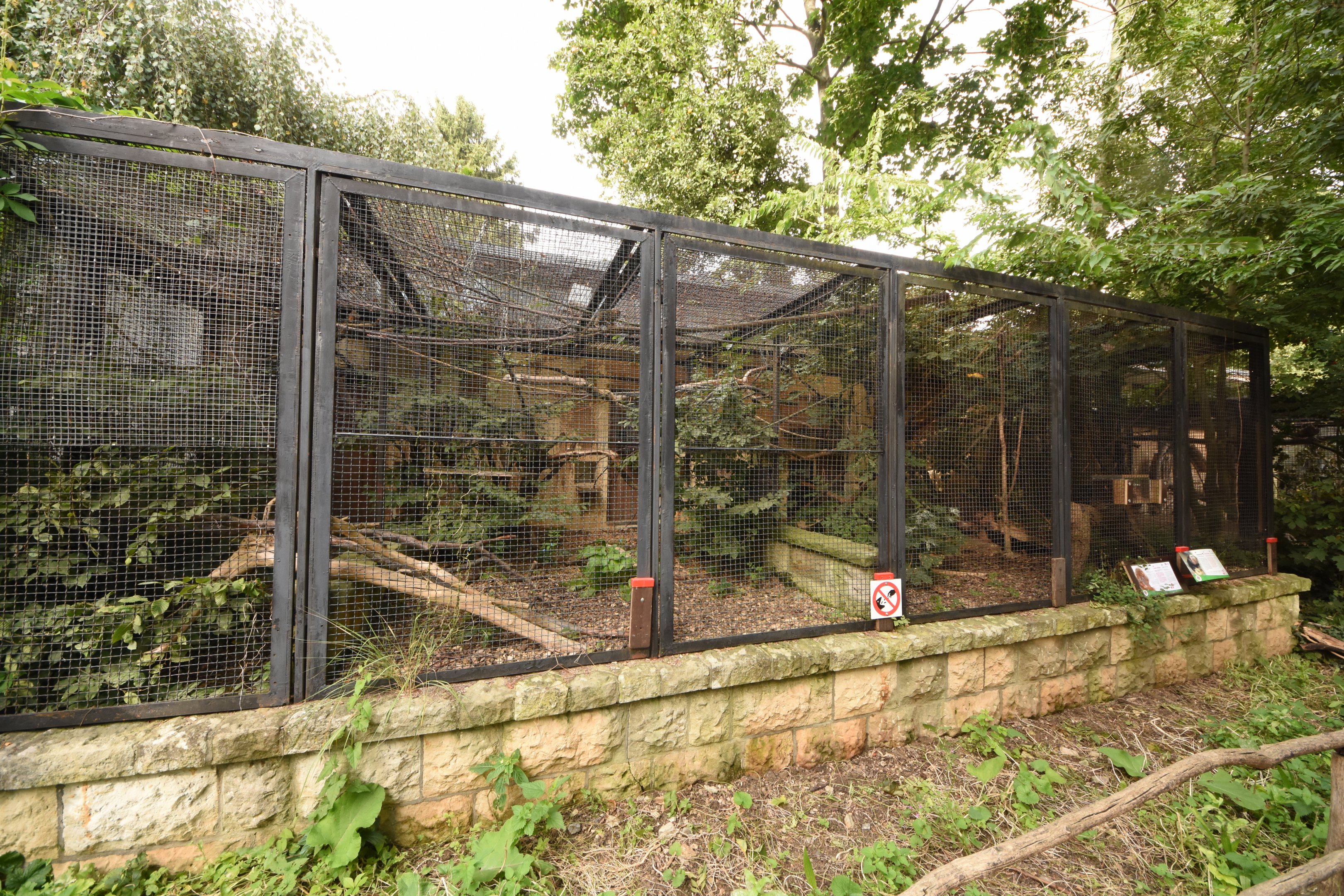 Pygmy marmoset & Golden-headed lion tamarin cage