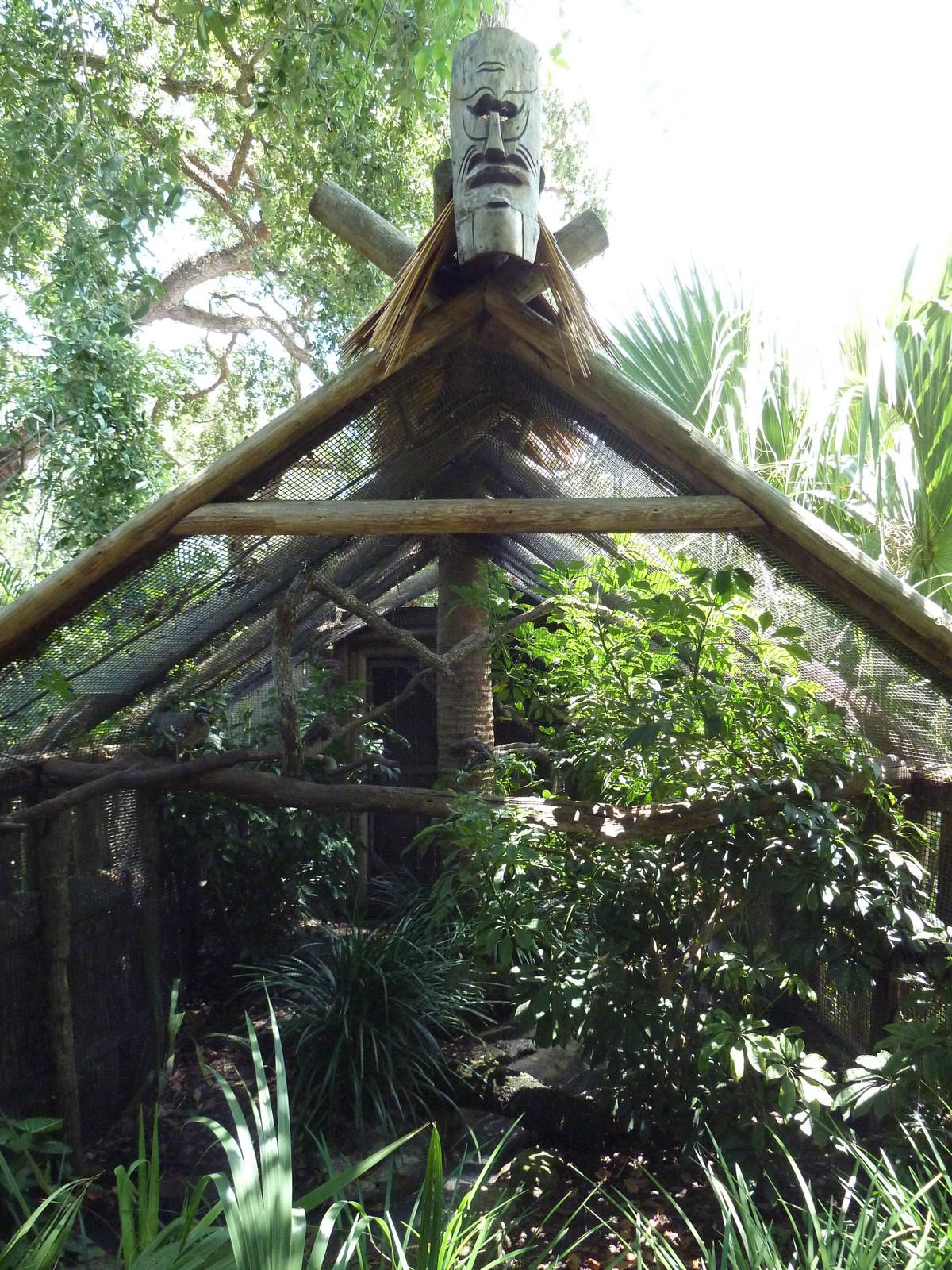 Pygmy Marmoset/Golden-Headed Lion Tamarin Exhibit