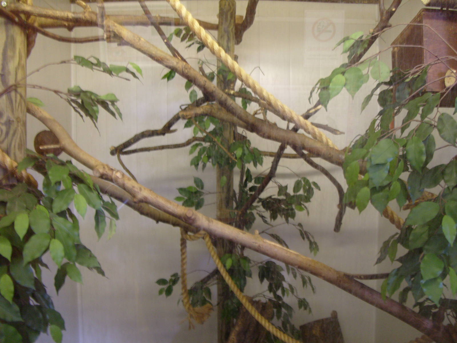 PYGMY MARMOSET INDOOR ENCLOSURE