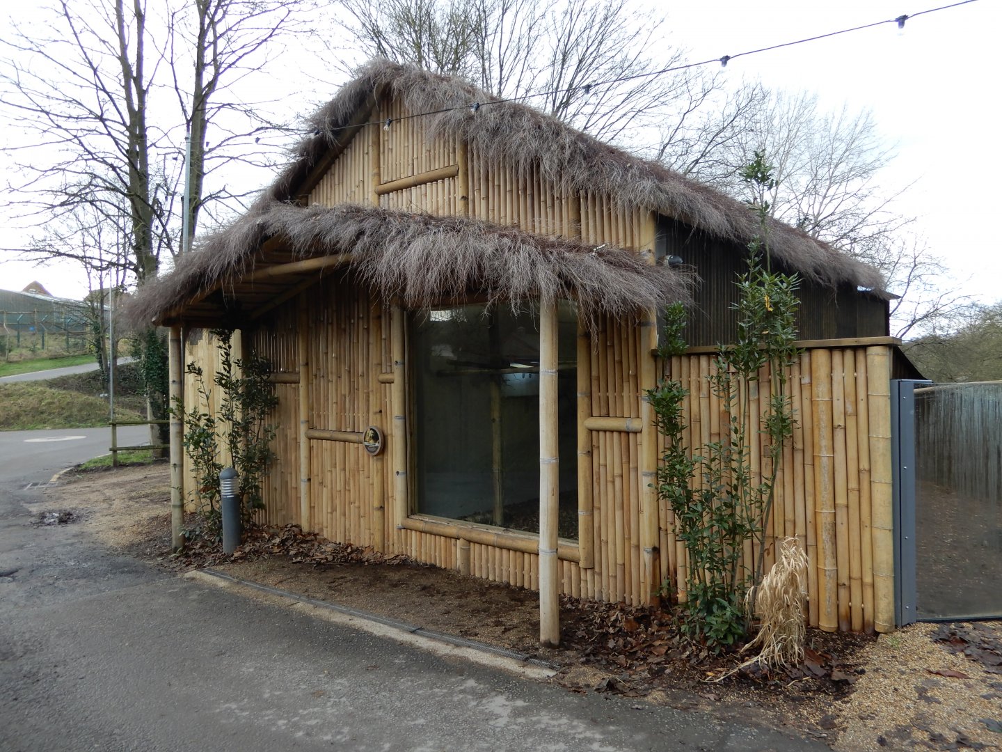 Pygmy Marmoset indoor exhibit