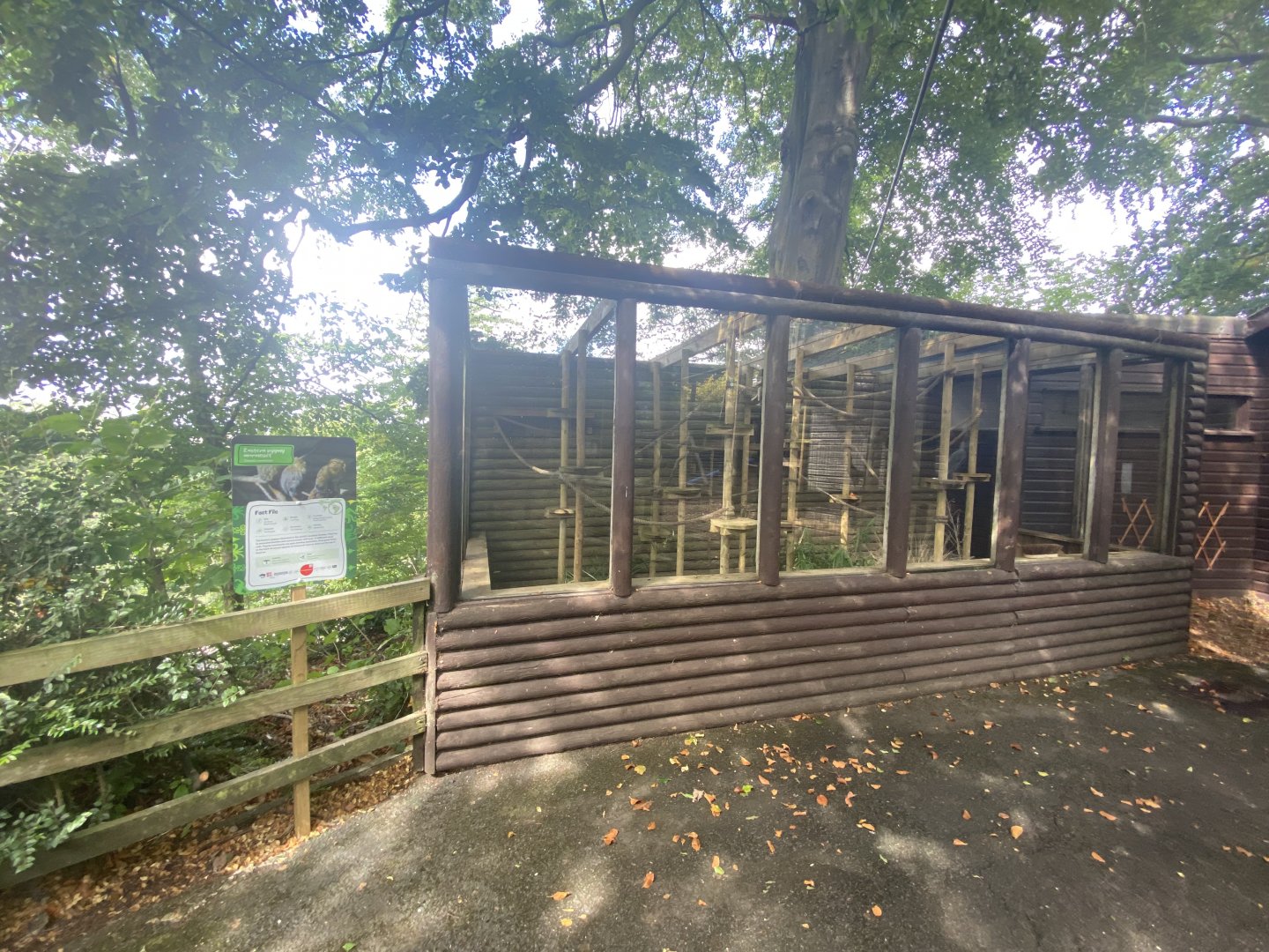 Pygmy marmoset outdoor enclosure
