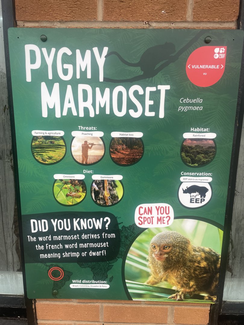 Pygmy Marmoset Signage