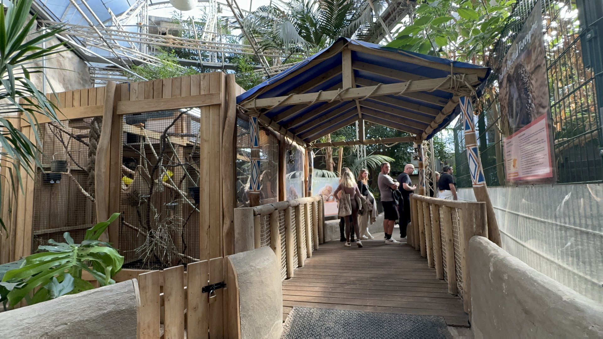 Pygmy Marmoset Viewing Area at Tropical World (October 2024)