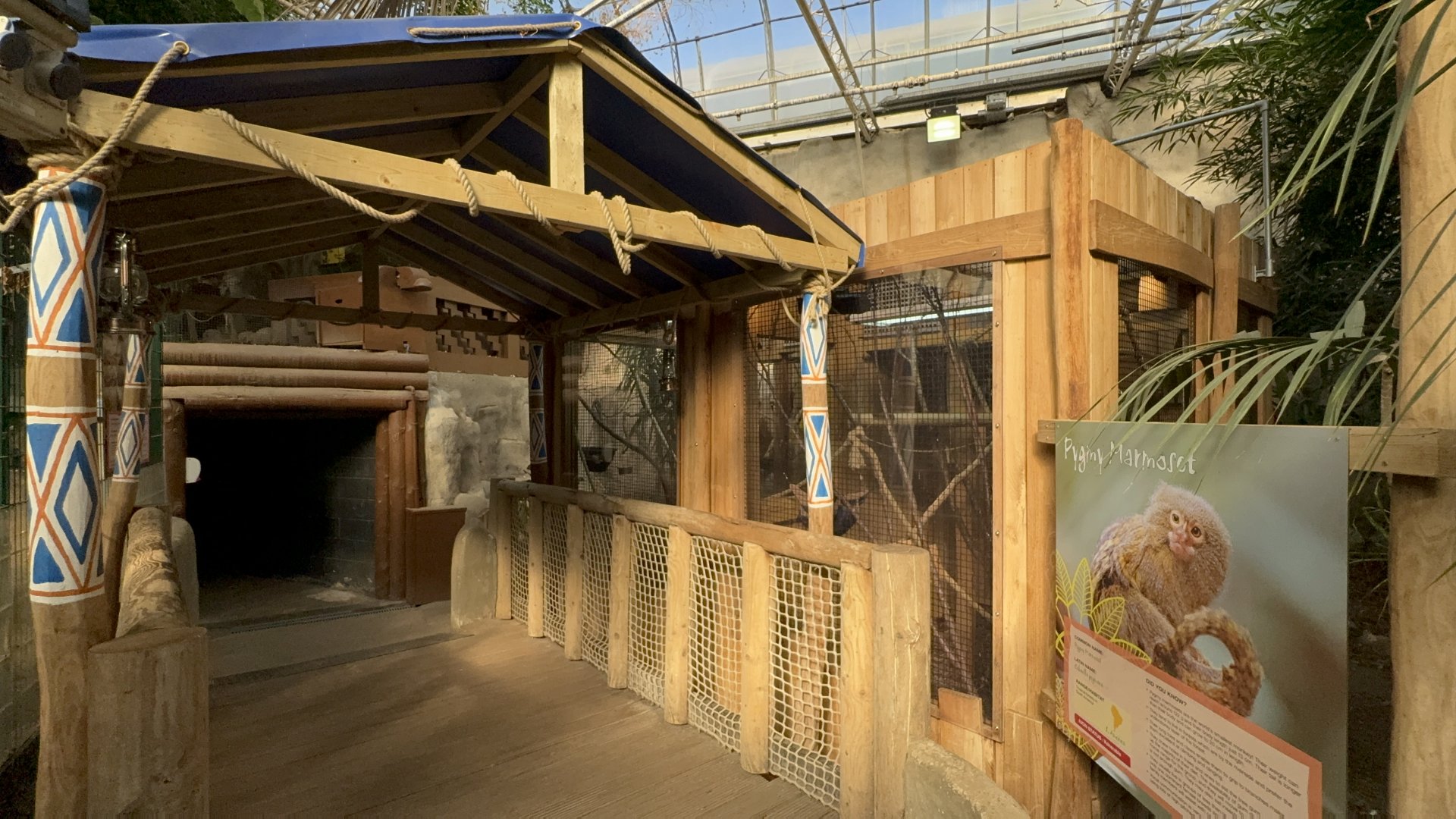 Pygmy Marmoset Viewing Area at Tropical World (October 2024)