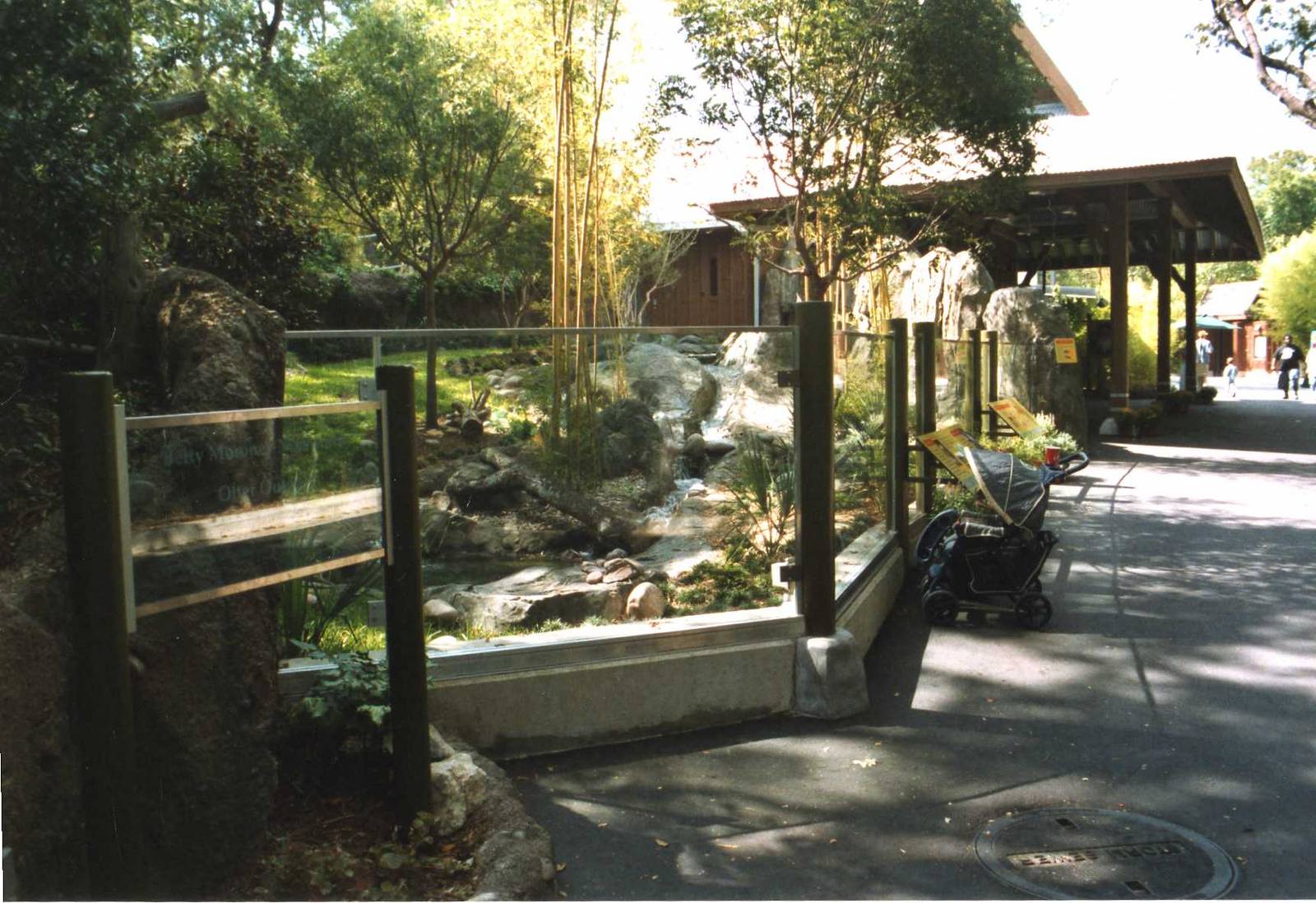 Pygmy otter exhibit