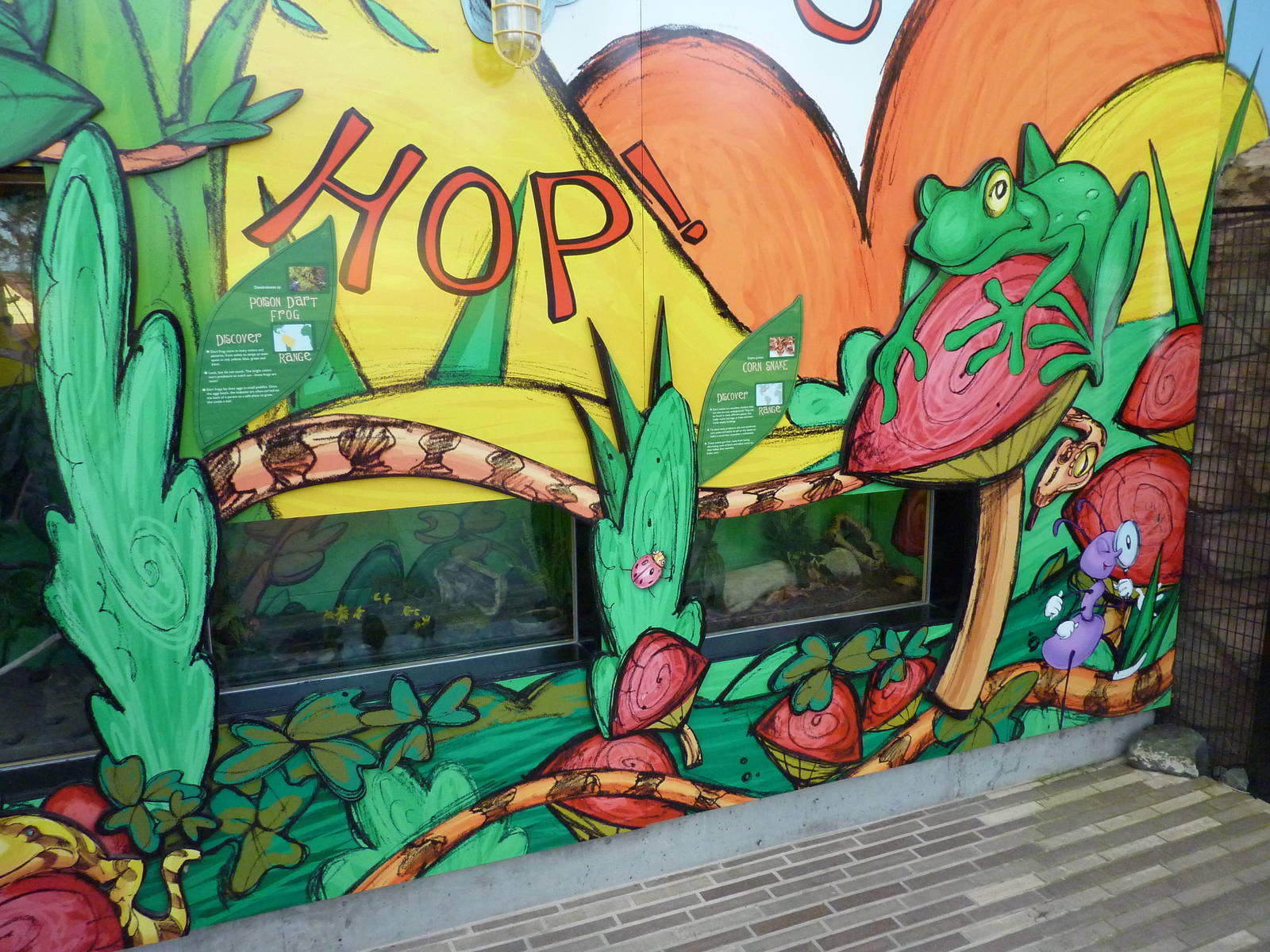 Pygmy Owl/Poison Dart Frog/Corn Snake Exhibits