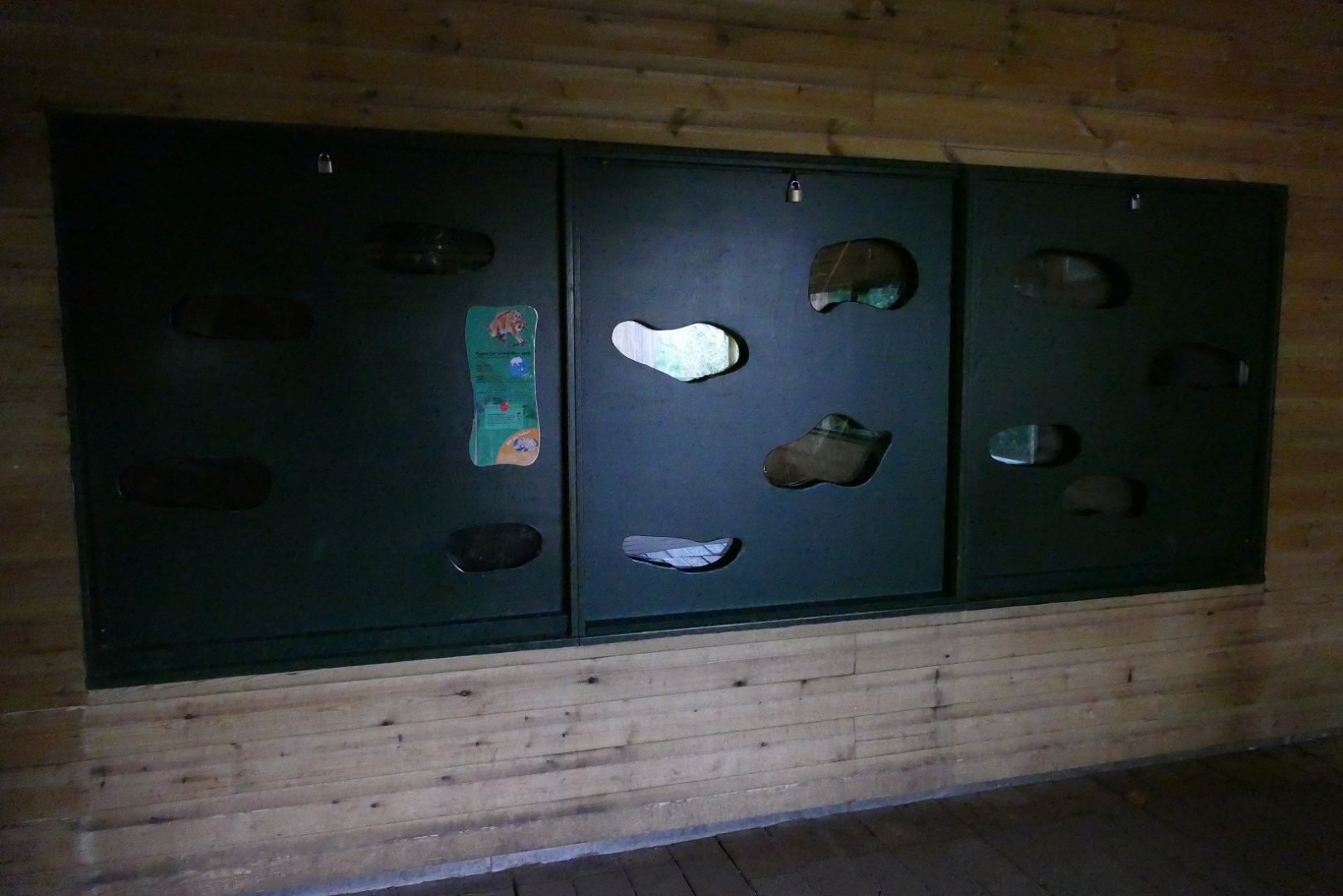 Pygmy slow loris enclosure, Monkey Heights, January 2019