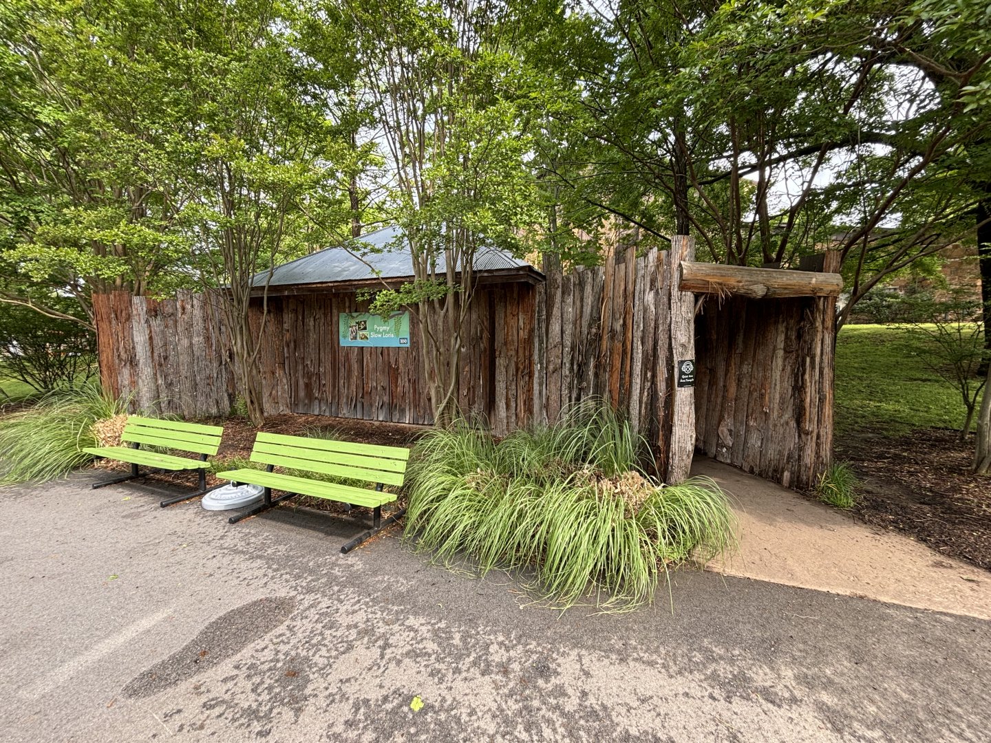 Pygmy Slow Loris Hut