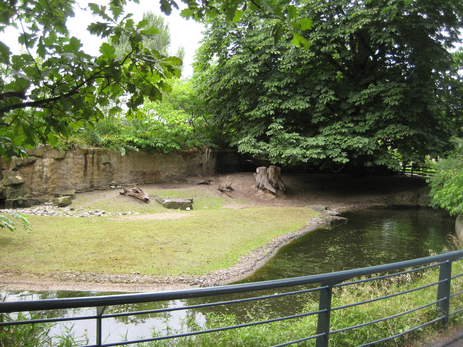 Pygmyhippo Exhibit