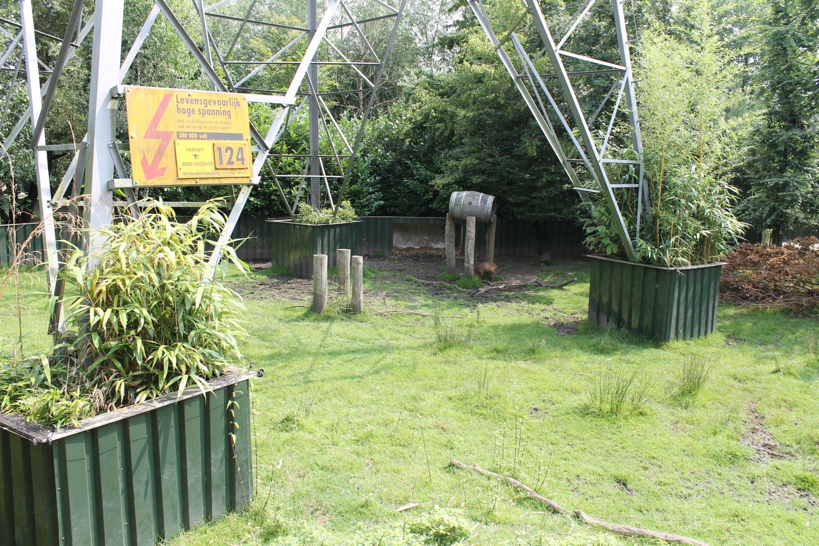 Pylon in Panda and Muntjac enclosure