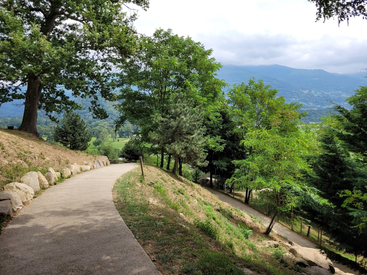 Pyrenean chamois exhibit -Parc Animalier des Pyrénées (2023)