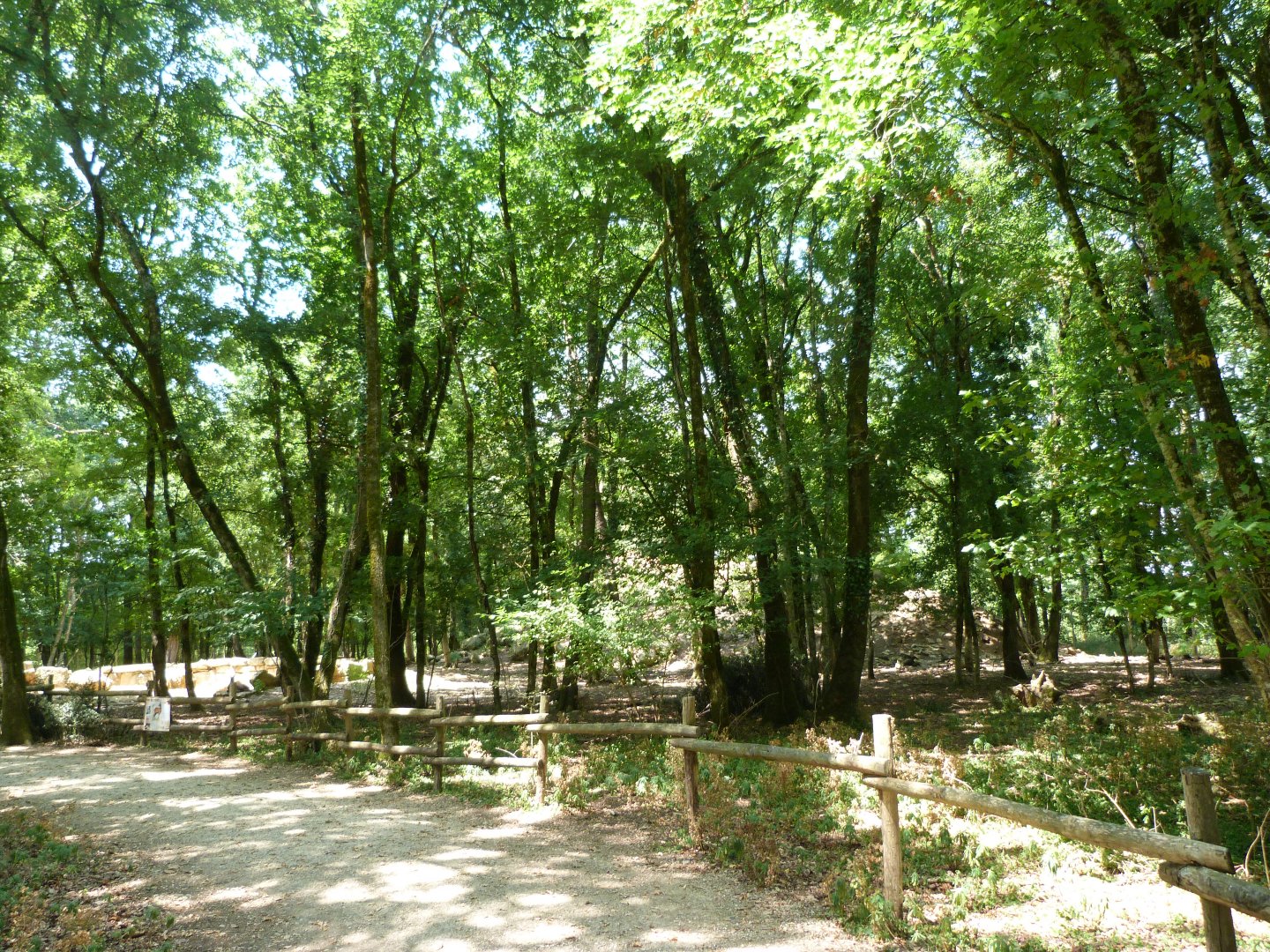 Pyrenean chamois exhibit -Zoodyssée (2025)
