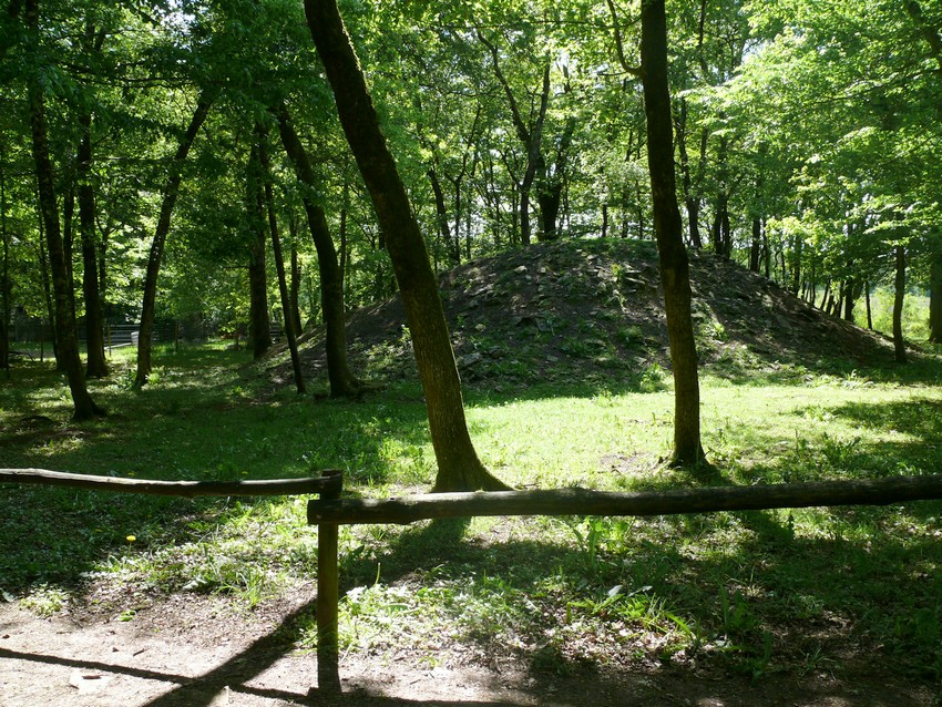 Pyrenean chamois walk-through exhibit
