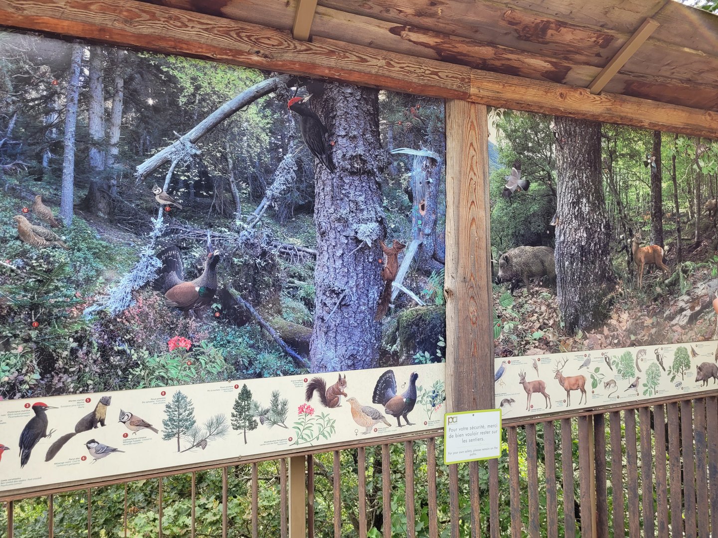 Pyrenean forests signs -Parc Animalier des Pyrénées (2023)