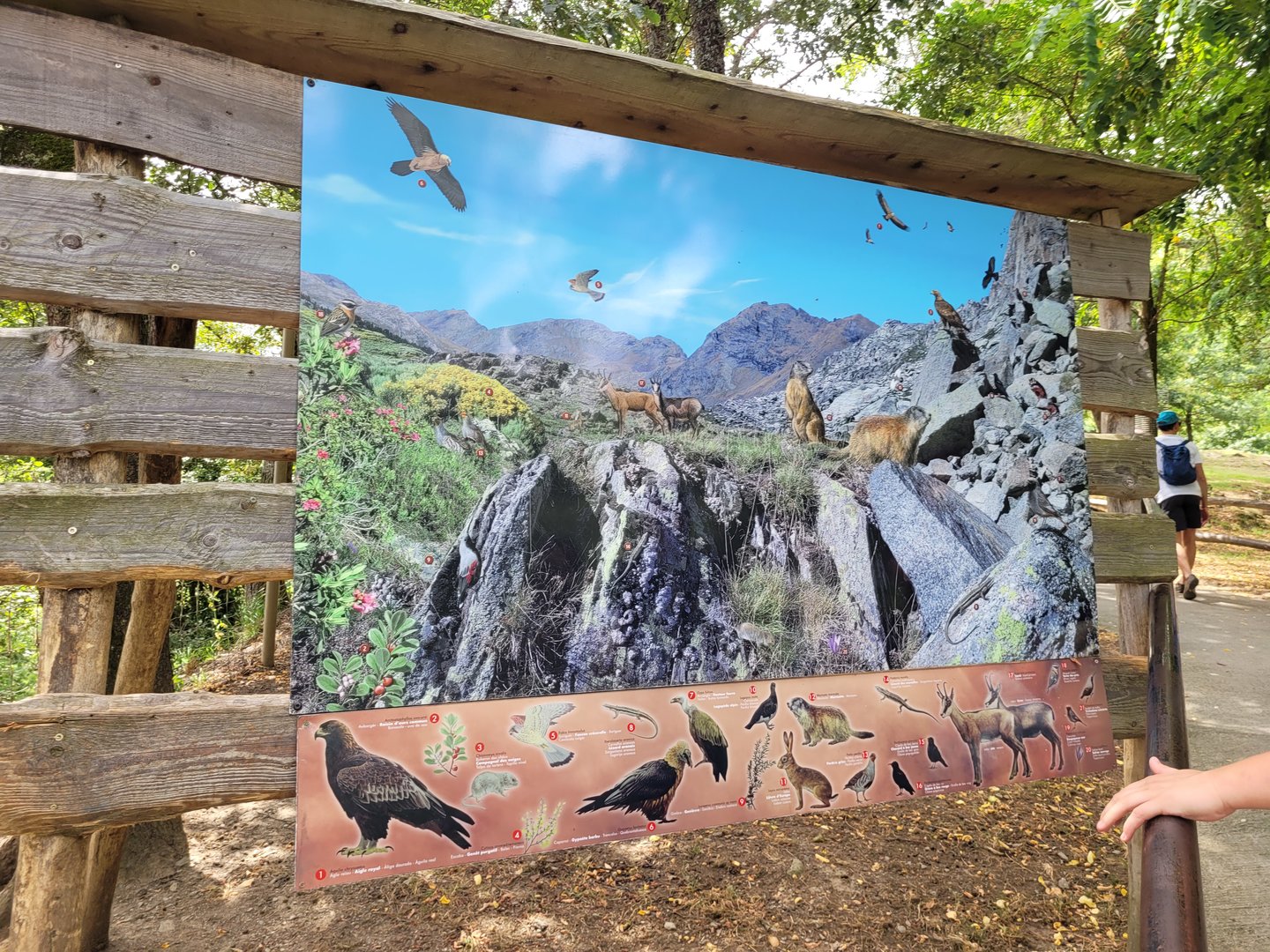 Pyrenean mountains sign -Parc Animalier des Pyrénées (2023)