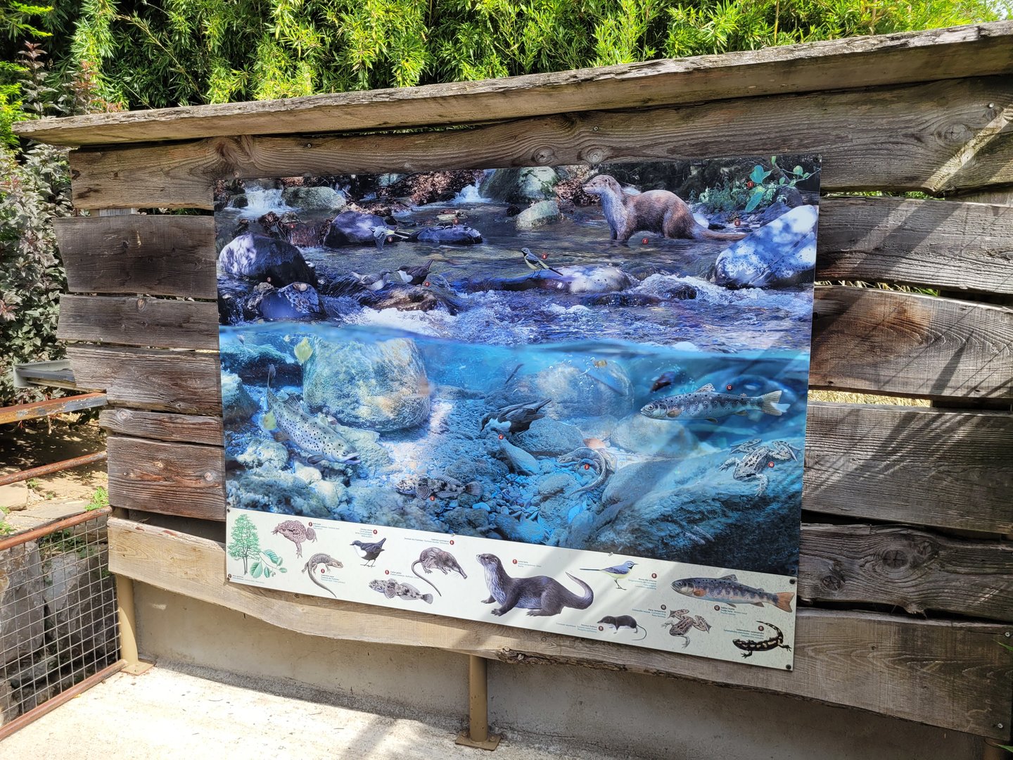 Pyrenean rivers sign -Parc Animalier des Pyrénées (2023)