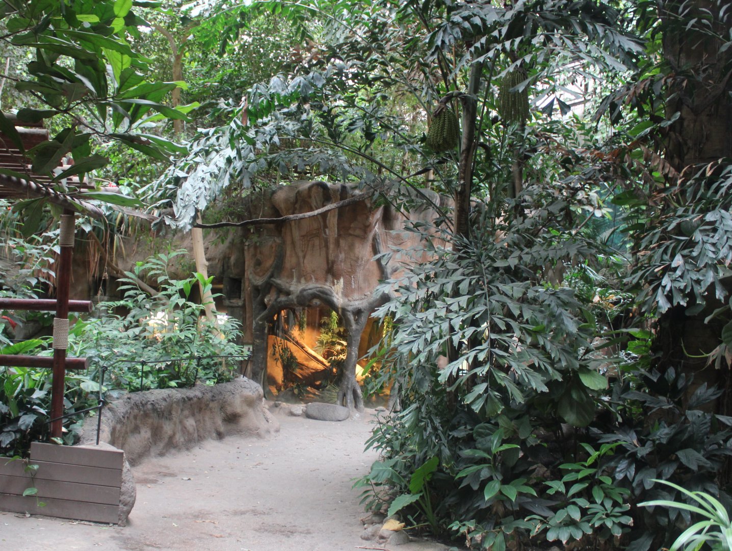 Python-enclosure in Elephant-house