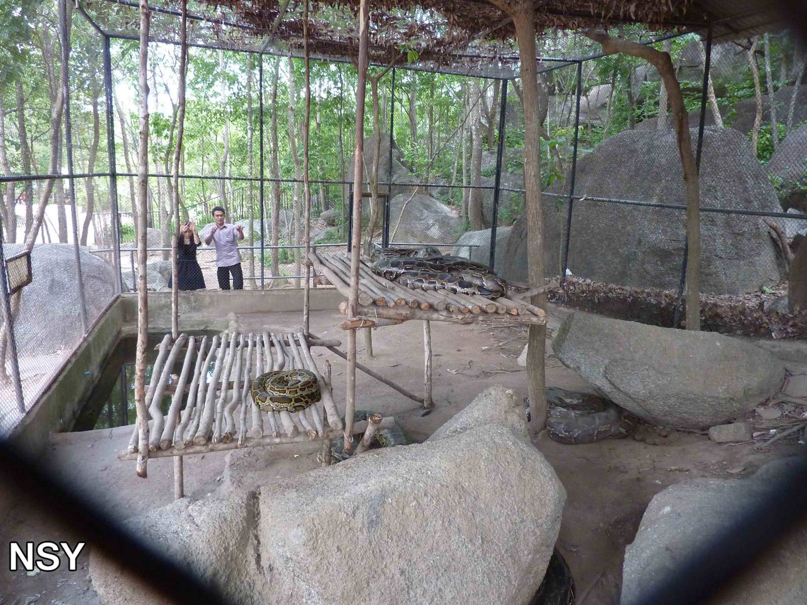 Python enclosure, May 2013.