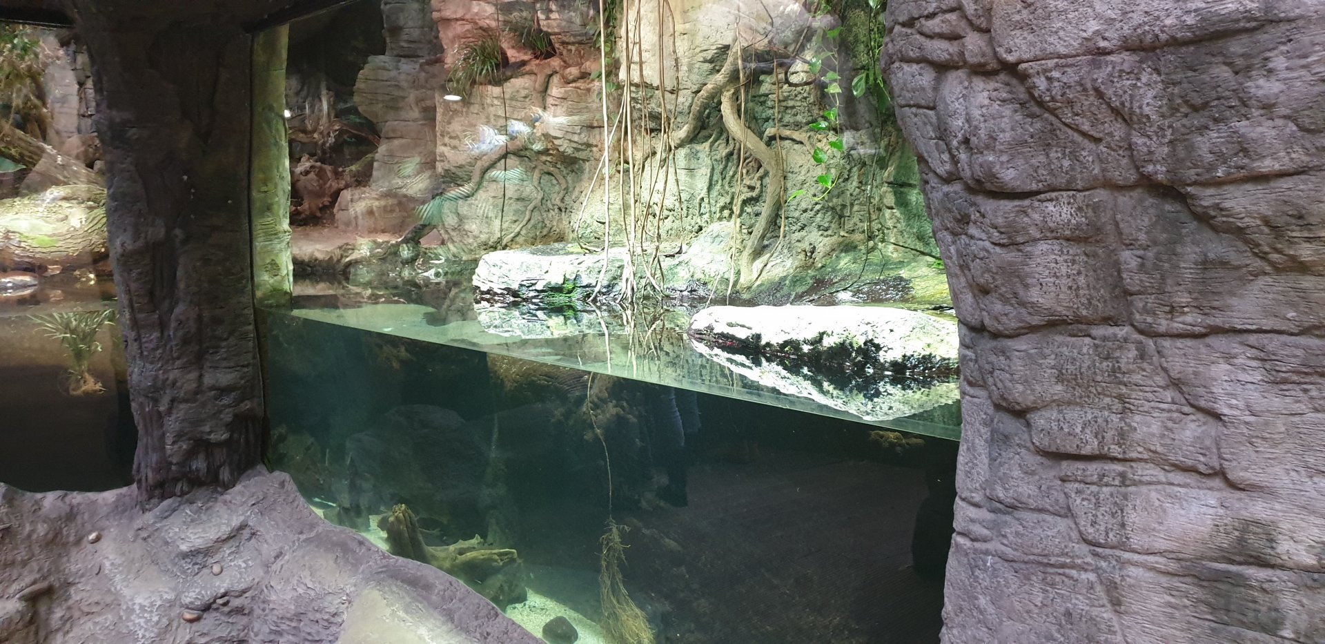 Python enclosure