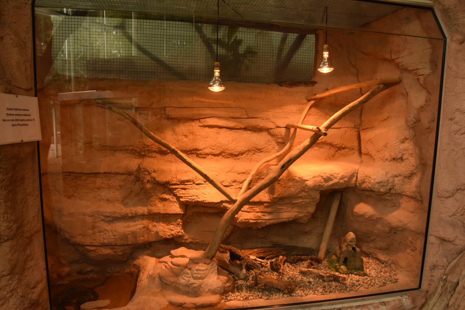 Python enclosure
