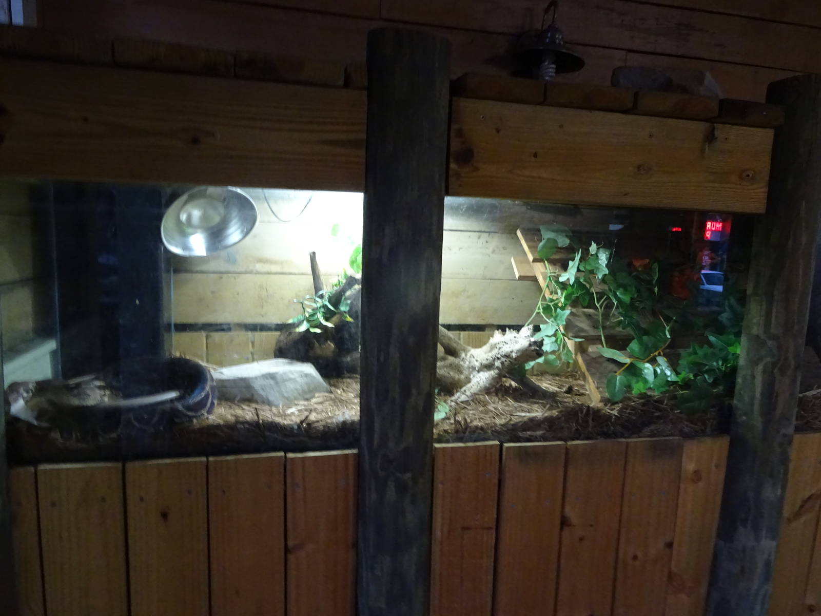 Python Exhibit at Gator Golf