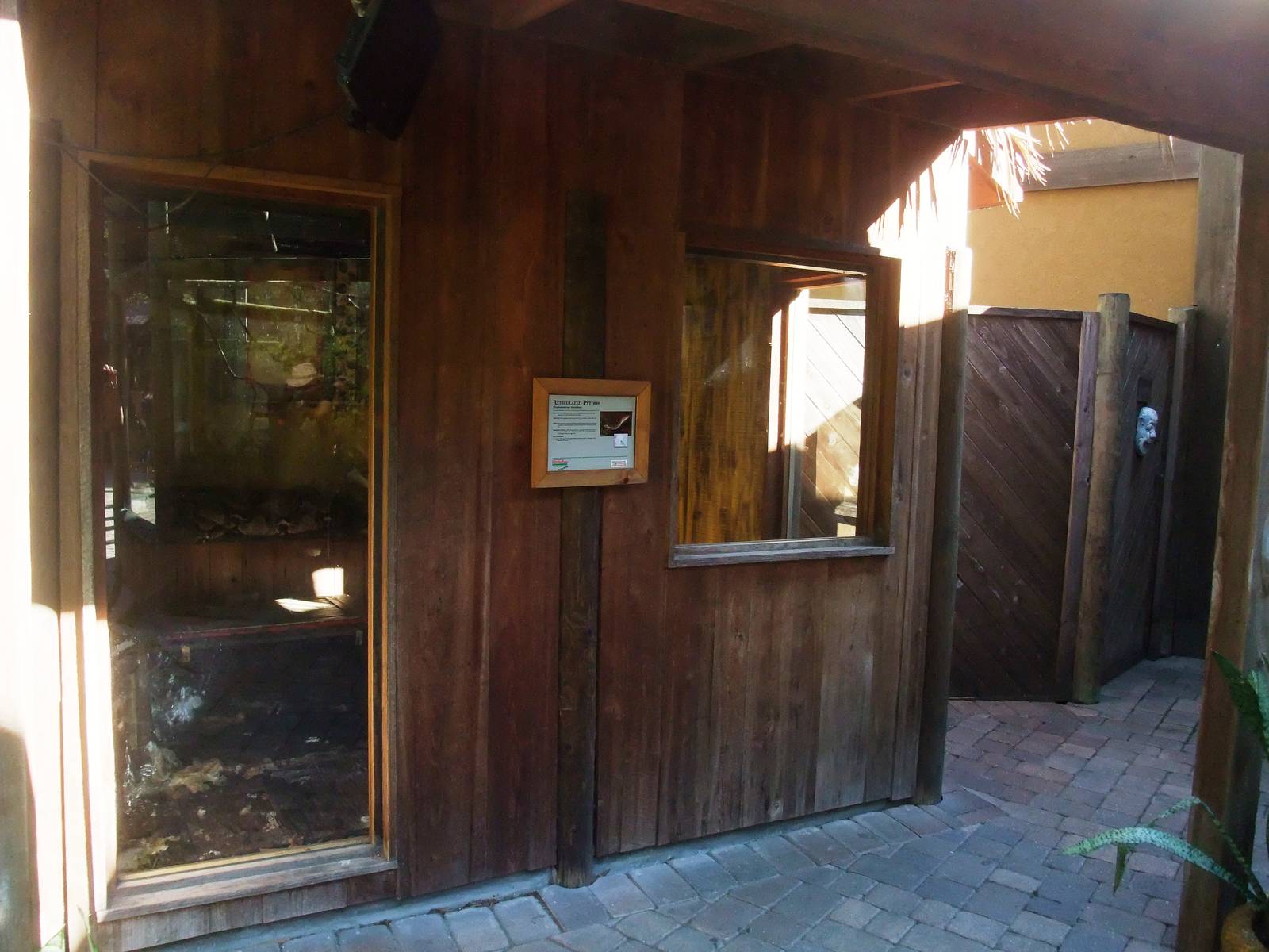 Python Exhibit at St. Augustine, 11/10/13