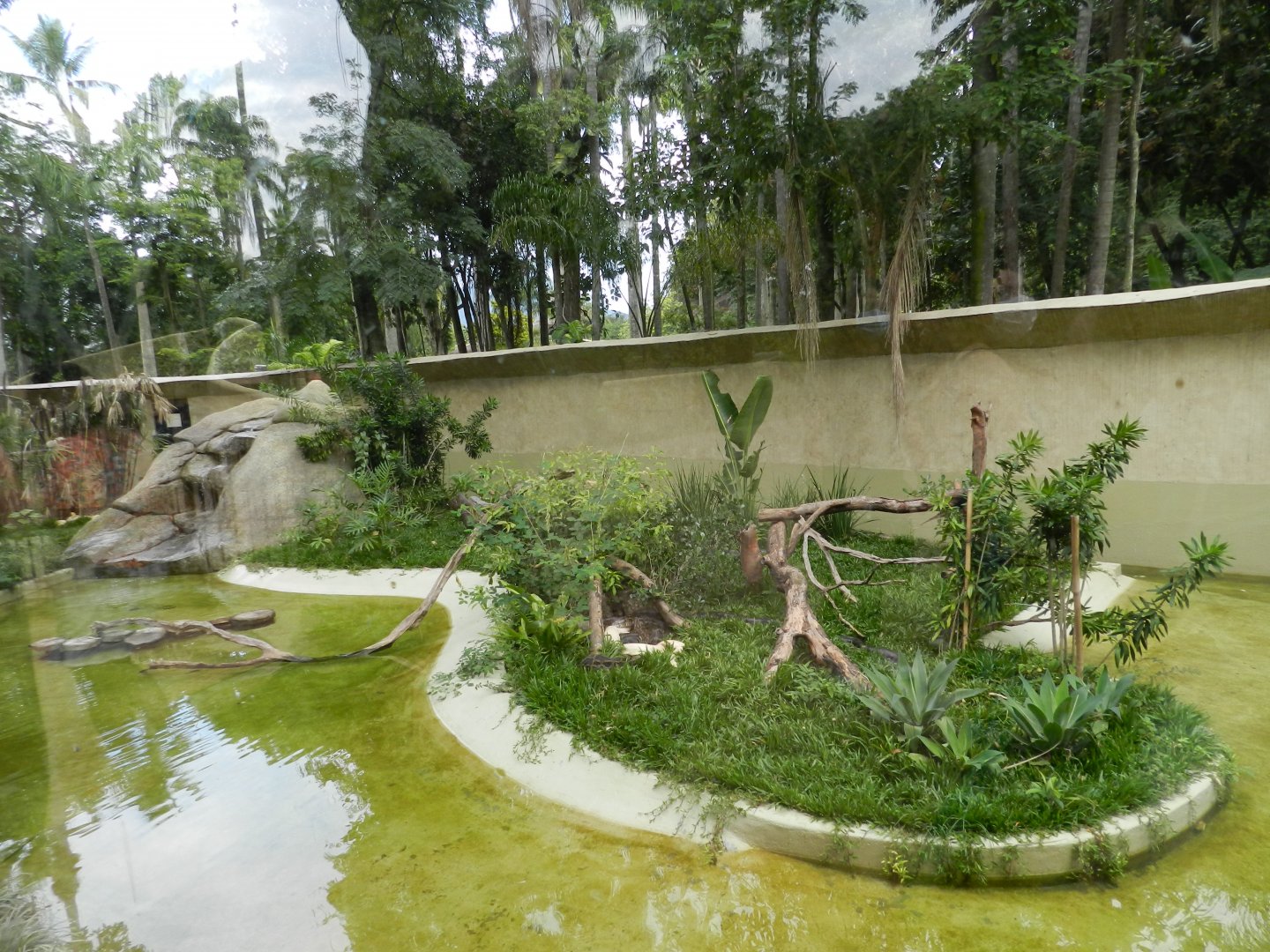 Python exhibit - BioParque do Rio