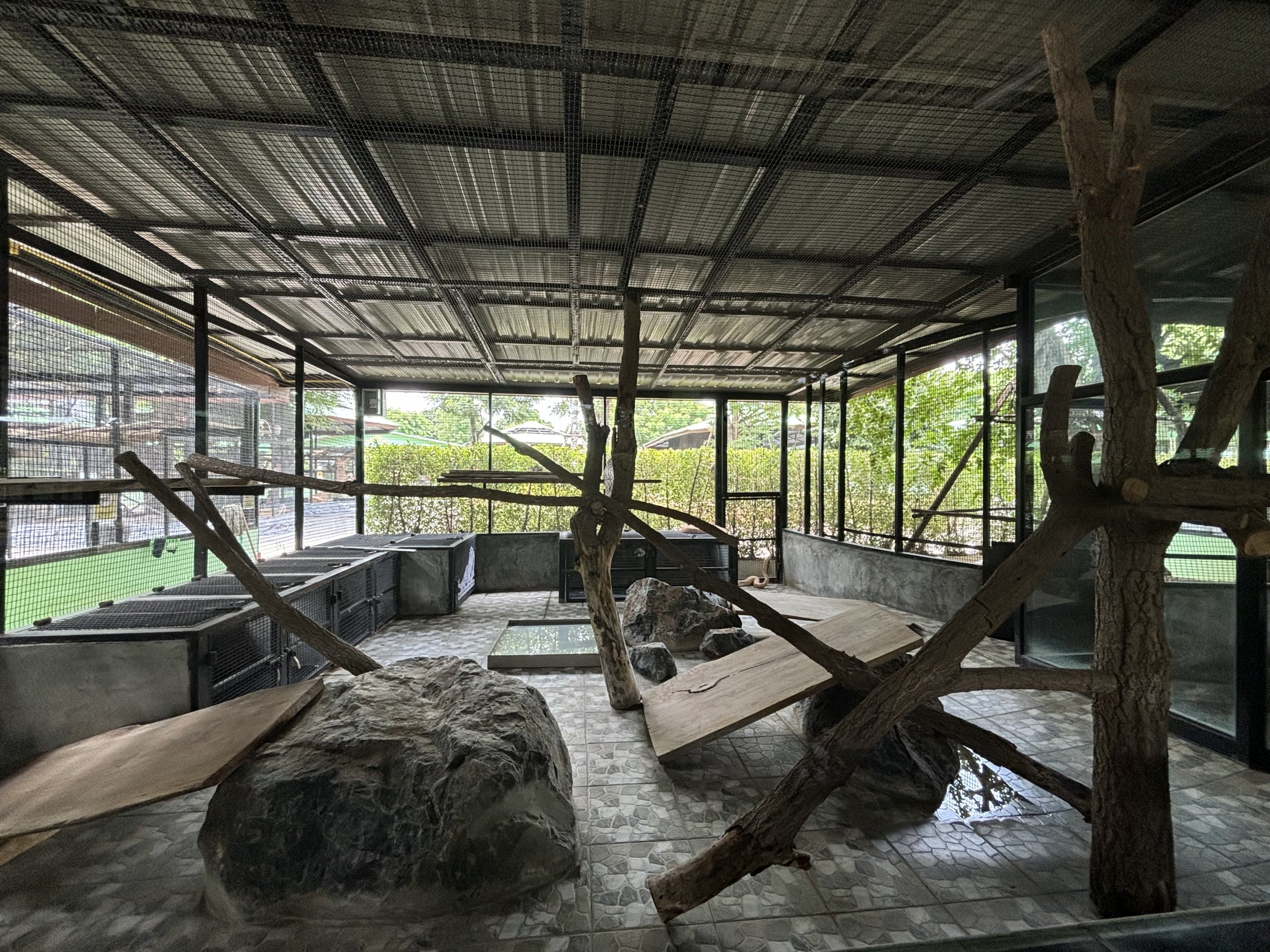 Python Exhibit - Lion Park